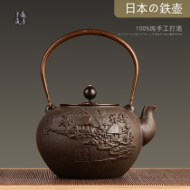 Ryusendo iron pot Handmade cast iron pot Japan imported Southern iron pot Electric pottery stove Tea maker Tea pot Tea set