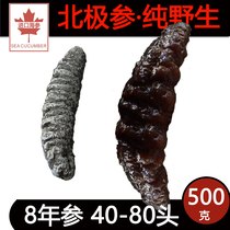  Wild Arctic ginseng light dried sea cucumber 500g dried 60 head special offer Iceland Canada imported deep sea seepage small dry goods