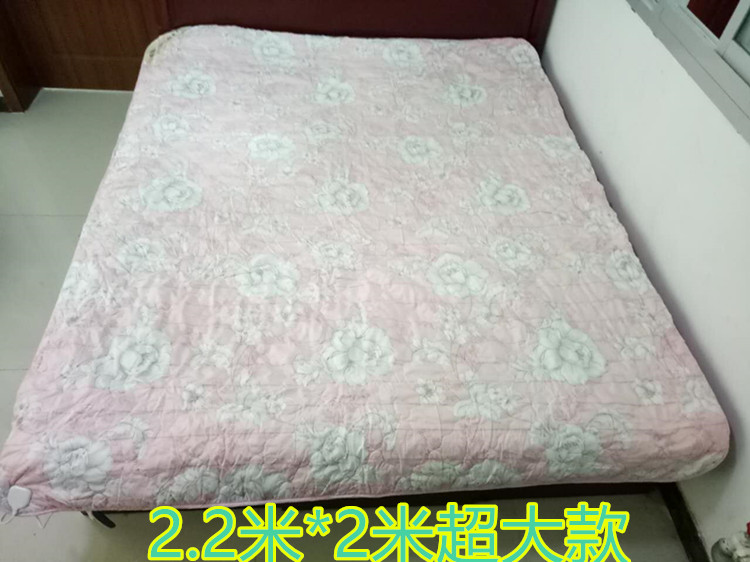 Mới chăn điện nệm điện ống nước ống nước chăn nước chăn không có bức xạ số lẻ và chẵn ba ghế sofa đệm vận chuyển - Chăn điện Cao