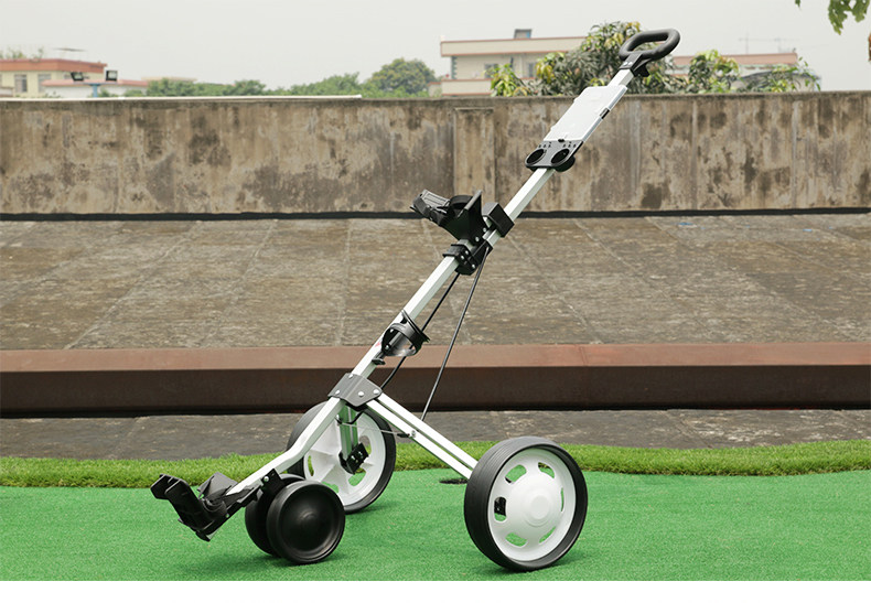 Sac de golf - Ref 38905 Image 10