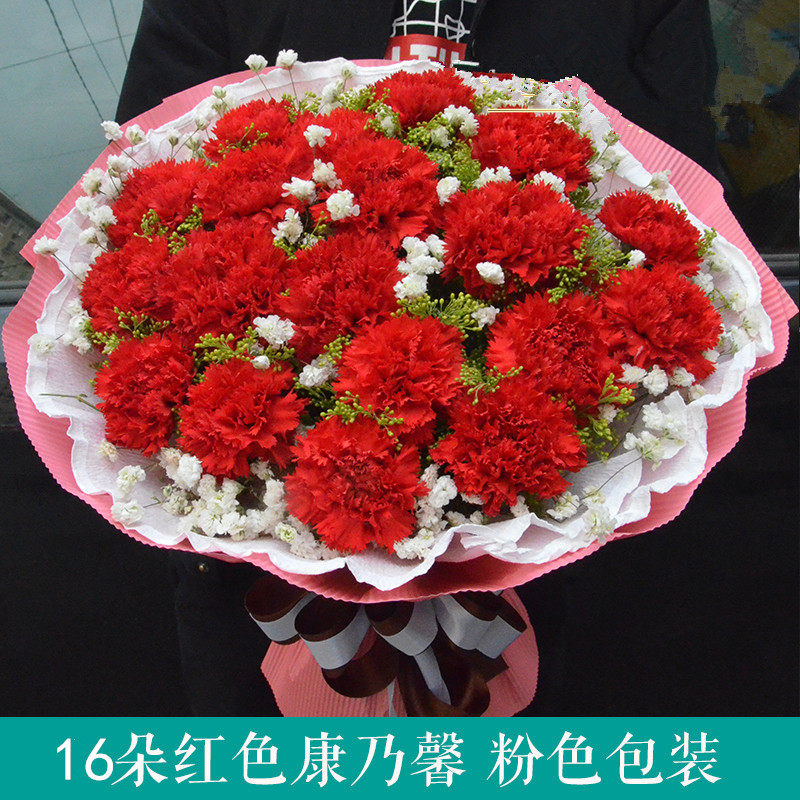 16 Carnations Yongzhou Cold Water Beach Jianghuadao County Florist Dongan Ningyuan Qiyang Send flowers flowers delivery