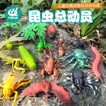 Insect world simulation bugs Animal static model Childrens kindergarten toys identify spiders ants beetles pests