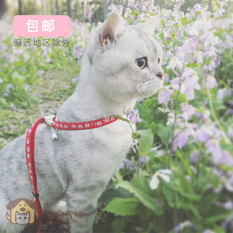 Japan's Petito Prefecture Owl Kitten kittens Cat Tow Rope Walking Cat Rope With Bell Cat Chain Sub Cat Neckline