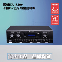 Hivi whiwei HA-8300 karaoke combined power amplifier KTV dual reverberation amplifier 2X200W