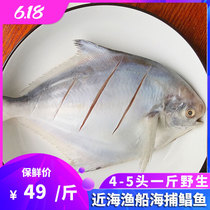  Fishing sea fishing wild silver catfish Fresh fresh frozen seafood aquatic deep-sea silver chang fish 1 kg