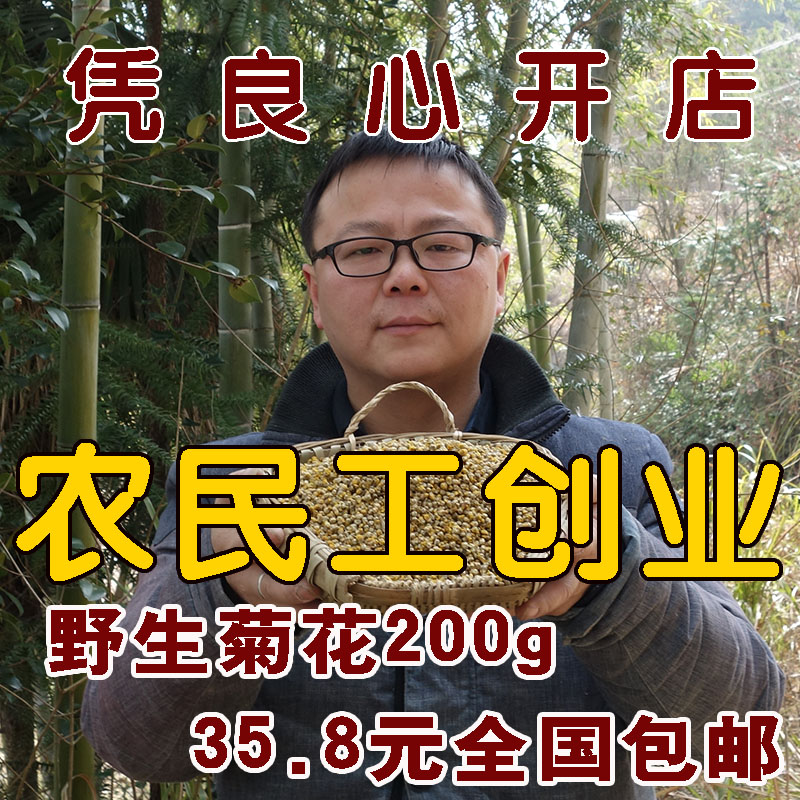 Great Beishan Wild Chrysanthemum Flower Chrysanthemum Indica Chrysanthemum Indica Powder 200 gr