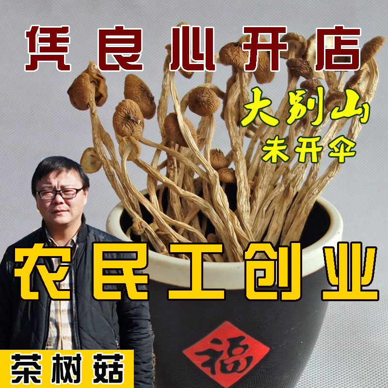 250g Great Mountain Farmhouse Tea Tree Mushrooms Special class Not open umbrella New stock Tea Salary Mushrooms Grow Without Sulphur Mushrooms Dry Goods