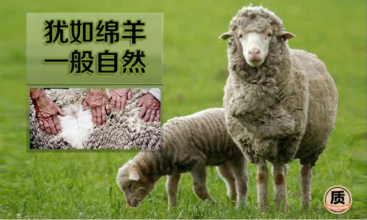 Pantalon droit en laine pour automne - Ref 1470753 Image 9