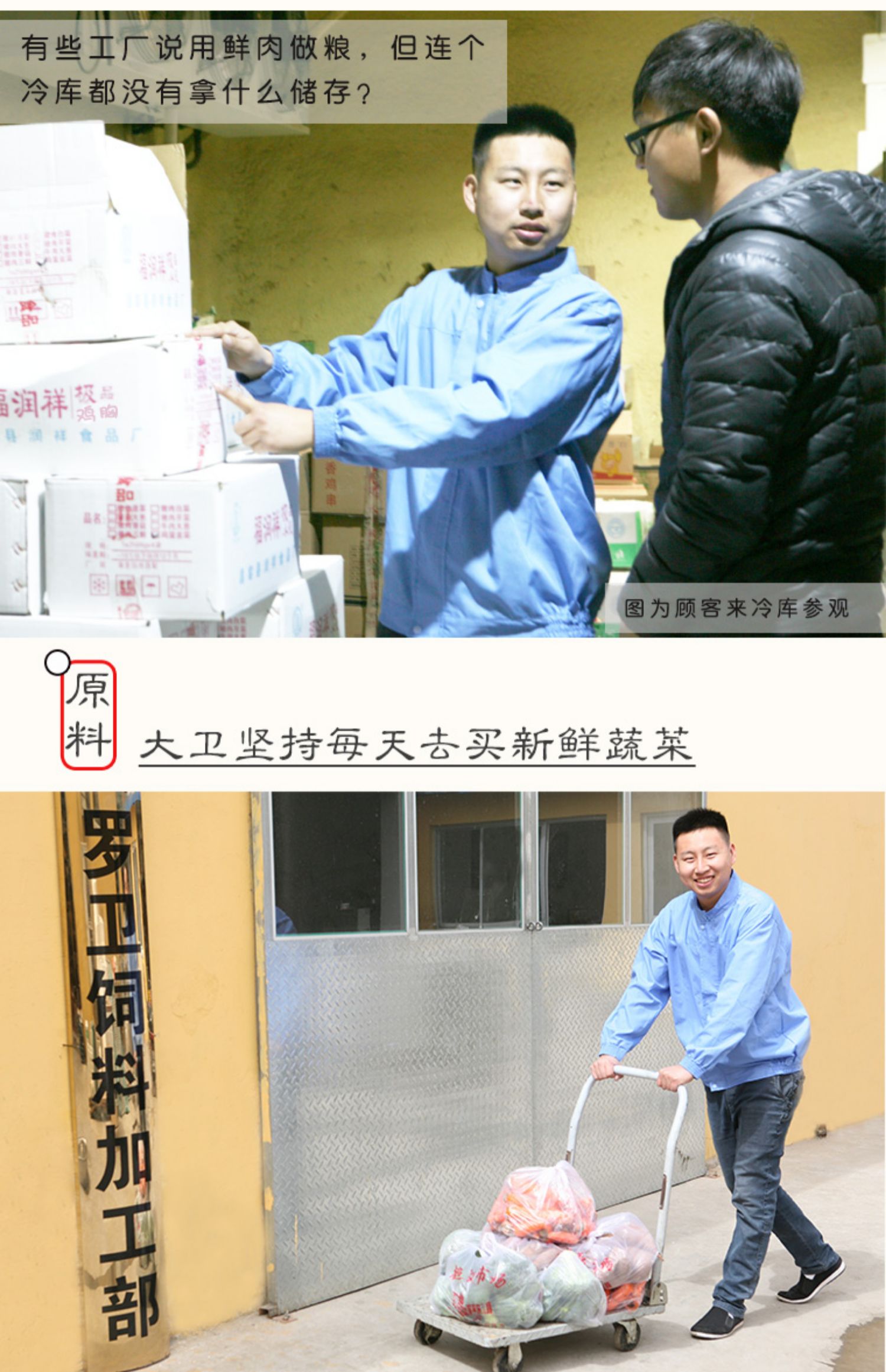 Giáo sư chó 7,5 kg thức ăn tự chế chó thức ăn cho chó lớn chó con chó bán ướt thức ăn chính Labrador Jin Mao Satsuma - Chó Staples ganador puppy