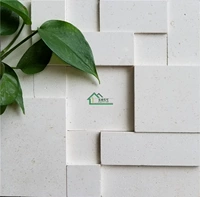 Высота световой поверхности байша