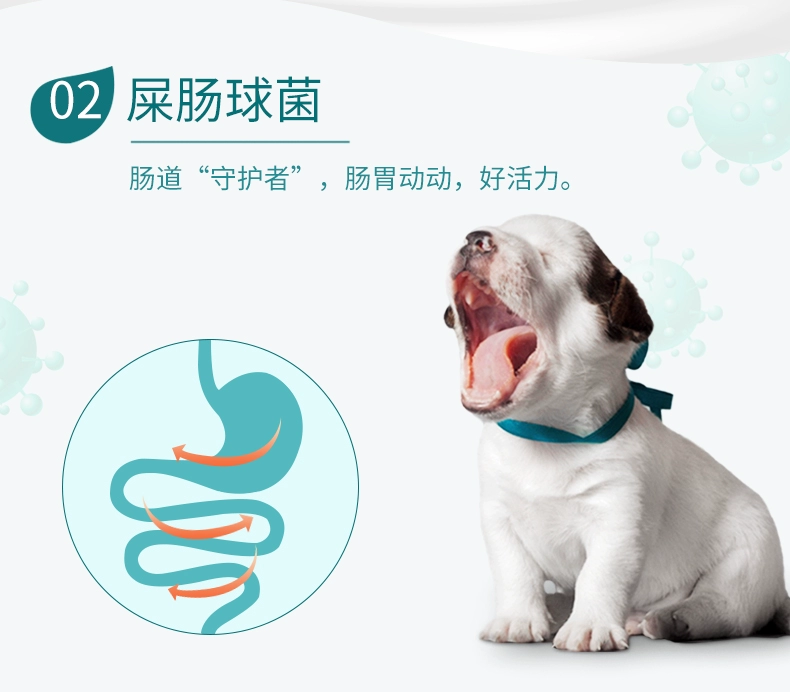 Pekingese poodle dog snack đặc biệt làm đẹp tóc bổ sung canxi sữa dê bột bánh pudding chó con chó con phần thưởng huấn luyện ăn nhẹ - Đồ ăn vặt cho chó