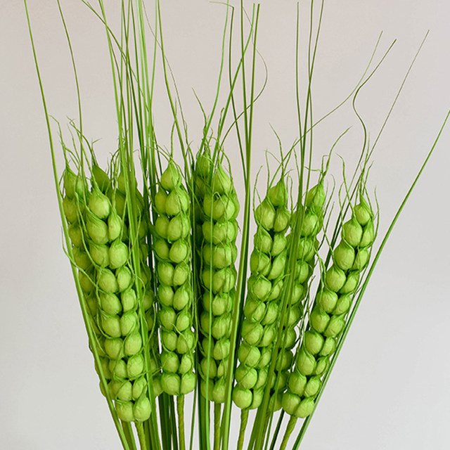 Simulated ຫູ barley ເຮືອນເປີດຂອງຂວັນດອກໄມ້ແຫ້ງ props pastoral ດອກໄມ້ປອມຫ້ອງດໍາລົງຊີວິດຕົກແຕ່ງ bouquet barley