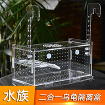 Acrylic turtle two-in-one isolation box fish tank seawater fish tank isolation box acrylic adhesive hook suction cup isolation box