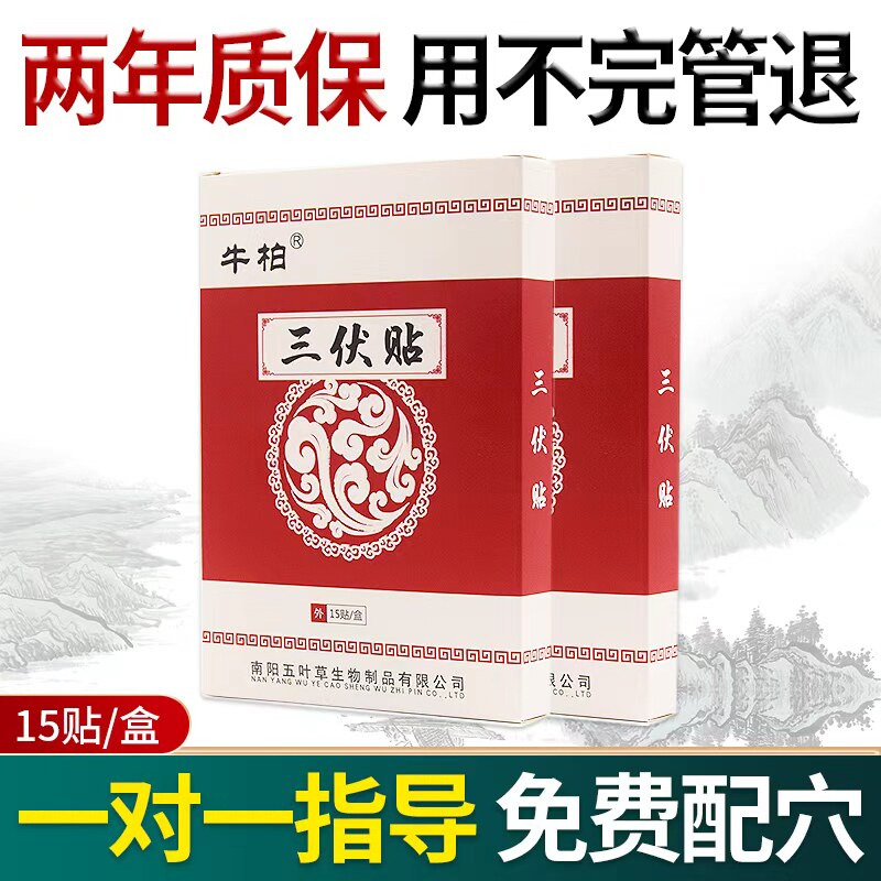三伏贴穴位贴肚脐贴三伏灸艾灸草本贴灸敷贴艾草贴穴位灸大人儿童