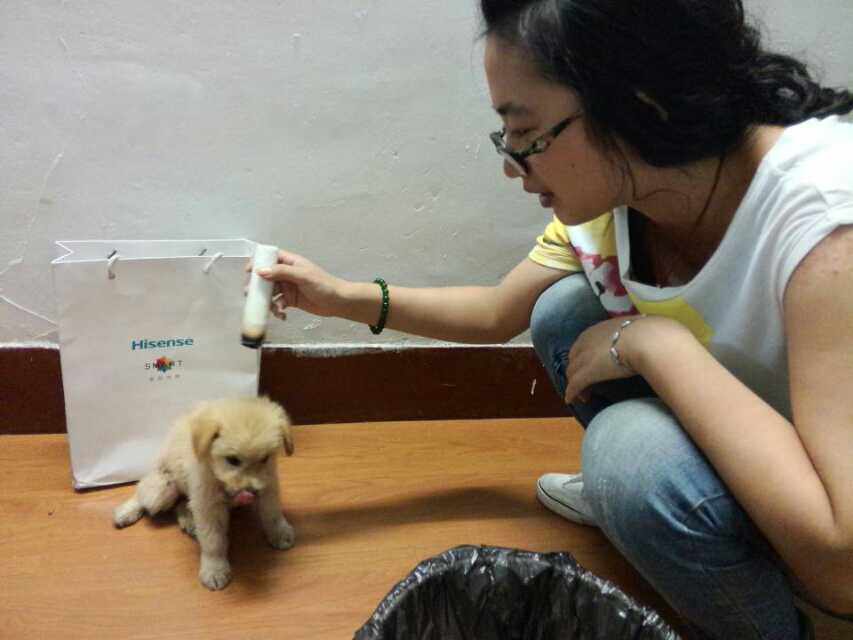 小妖精和小人精的良心艾条良心艾灸