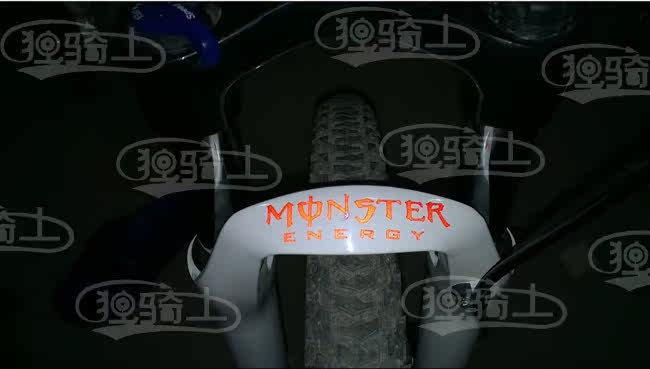 Décoration pour vélo - Ref 2279447 Image 21