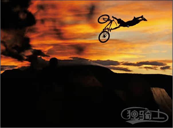 Décoration pour vélo - Ref 2281301 Image 4