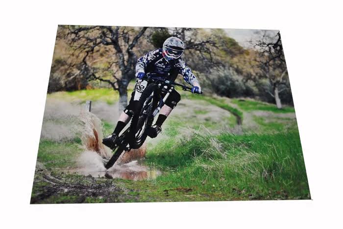 Sticker pour vélos - Ref 2276227 Image 5