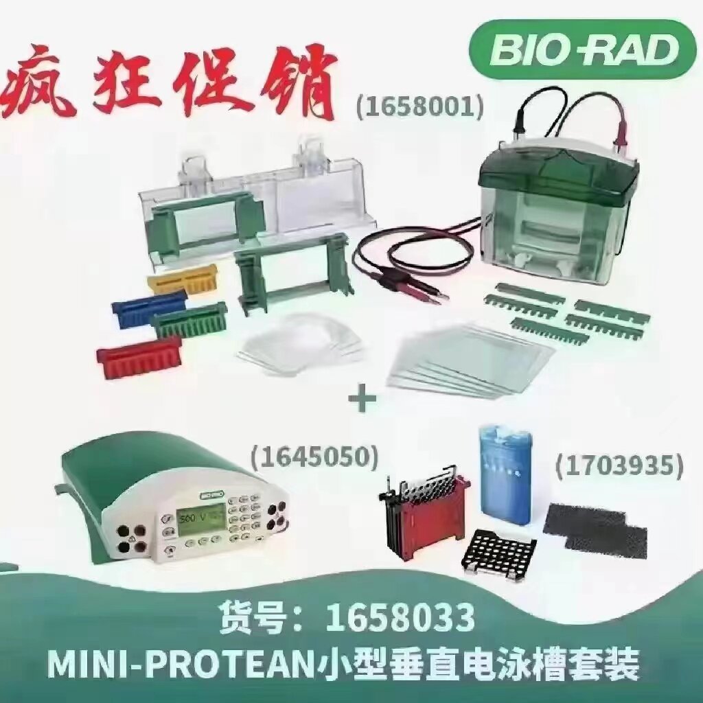 Bio-Rad伯乐电泳套装1658033电泳三件套湿转WB实验