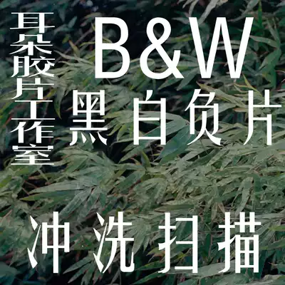 Film Development Film Roll Washing Film Black and White d76 (Ear Film Studio)