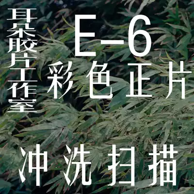 (Ear Studio)Negative film roll Positive film Negative reverse film Flushing positive film E-6 process