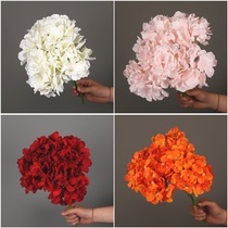 Simulation 5 head Hydrangea simulation silk flower autumn color decoration wedding hotel wedding hall Road introduction background landscaping soft dress
