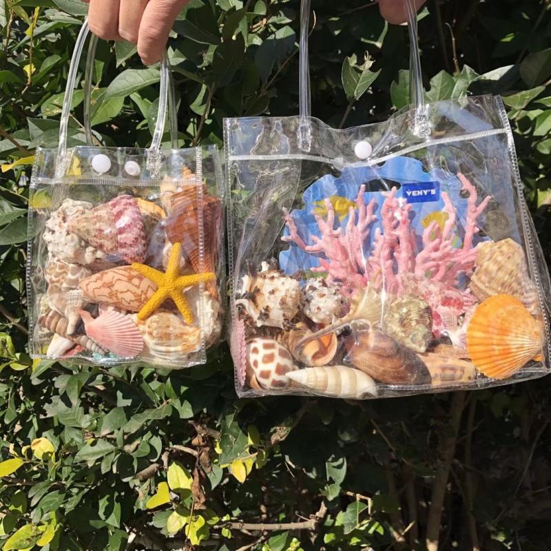 Natural Shell Sea Snail Gift Box Package Emulation Coral Fish Tank Water Ethnic Group View Children Toy Gift Idea Gift-Taobao