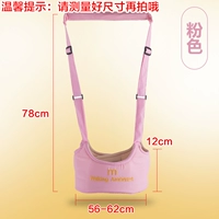 Розовый пояс обучения (четыре сезона)