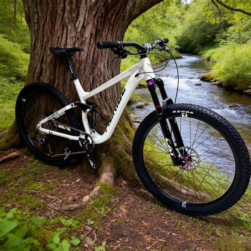 Auride Soft-Tail Mountain Bike, Downhill Bike, Dirt Bike, Stunt Bike, Street Bike, Youth Student Bike