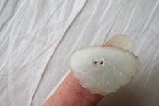 Мундштуки Белизну хороший Цин Хэтянь Нефрит