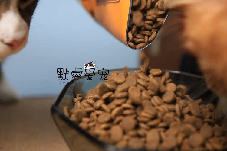 Love Kenna Cat Food Canada Nhập khẩu ACANA Cat Food Chicken 5.4kg Natural Valley Cat Food Whole Cat Food - Cat Staples hạt cho mèo