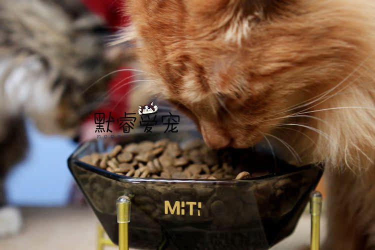 Love Kenna Cat Food Canada Nhập khẩu ACANA Cat Food Chicken 5.4kg Natural Valley Cat Food Whole Cat Food - Cat Staples hạt cho mèo