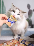 INA BAO MIAO HAO SIX -PACKING CAT SNACKS SASTION SASTION SASTER наградные закуски для кошки куриная грудь кошка мокрое зерно