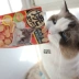 Inabao ciao đồ ăn nhẹ cho mèo ức gà nhỏ cá khô Nhật Bản tuyệt vời làm sạch răng bánh quy * 8 món ăn vặt cho mèo kết hợp - Đồ ăn nhẹ cho mèo