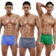 Asianbum 3 Nam giới Đồ lót nam cotton thoáng khí mặc nhà Aro Quần ngắn mặc nhà thoải mái Đồ ngủ - Quần tây