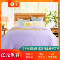 Royal Ca Mau Jin Jiaying 100% double cocoon gold layer fine silk] Class A cotton table cloth Mulberry silk tribute quilt