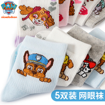 Barking team children socks Baby boy children cotton socks Spring and autumn breathable girls toddler tube socks socks