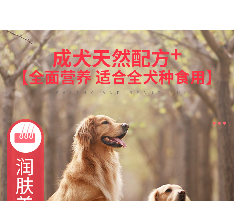Quán rượu ưa thích thức ăn cho chó 8kg người lớn trưởng thành tự nhiên trưởng thành Teddy VIP Golden Hair Labrador - Chó Staples thức ăn cho chó pedigree