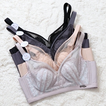 bra light crystal cup bra summer ultra-thin lace mesh gauze no steel ring gathers rabbit ears underwear 8069