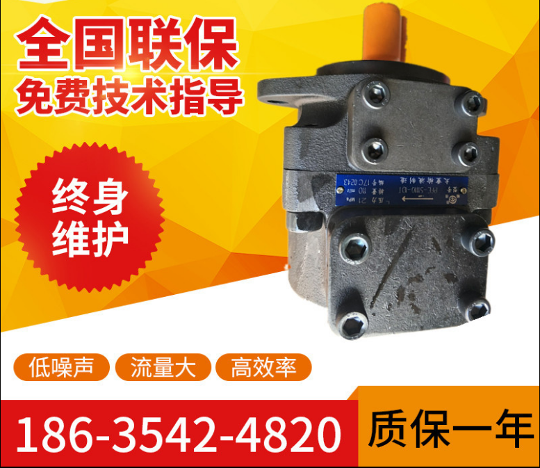 Spot supply PFE-31028-1DT series vane pump for Ningbo injection molding machine