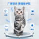 Pet Craftsman cat anthelmintic medicine ຢອດຢາຂ້າແມງໄມ້ທັງພາຍໃນ ແລະ ພາຍນອກ ພາຍໃນ ແລະ ພາຍນອກສຳລັບແມວຜູ້ໃຫຍ່ ແລະ ແມວເພື່ອກຳຈັດແມງ, ເຫັບ ແລະ ຢາຂີ້ແຮ້.