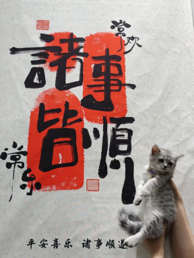 山姆旺财店