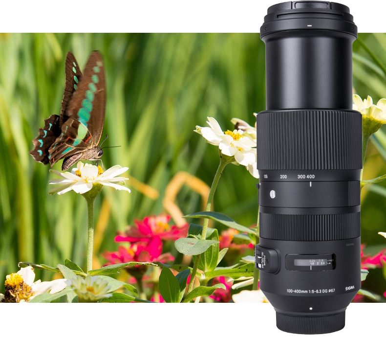 Sigma / Sigma 100-400mm F5-6.3 Hệ điều hành Chống rung máy ảnh Full-frame DSLR ống kính tele tele