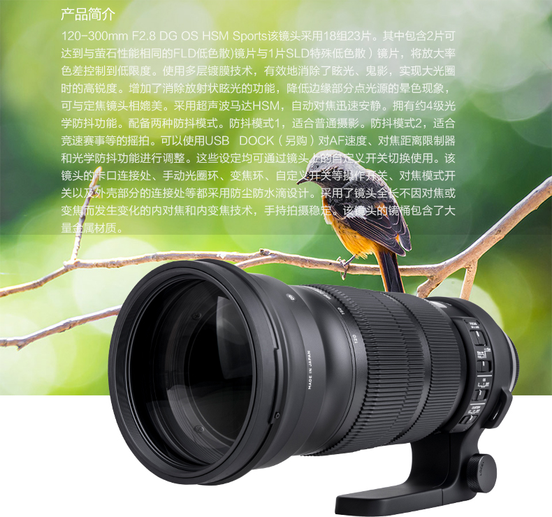 Sigma / Sigma 120-300mm F2.8 Hệ điều hành chống rung Máy ảnh toàn khung máy ảnh ống kính tele ống kính tele