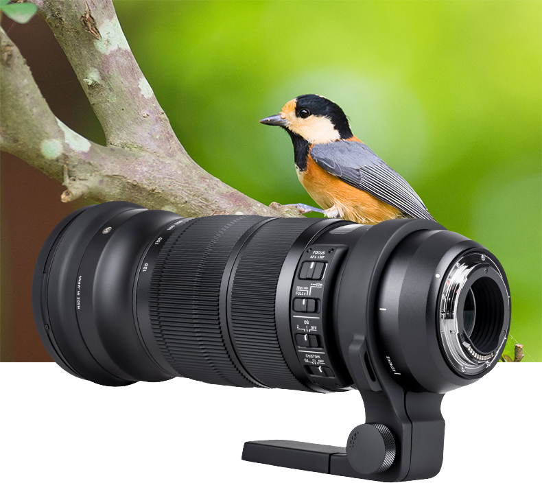 Sigma / Sigma 120-300mm F2.8 Hệ điều hành chống rung Máy ảnh toàn khung máy ảnh ống kính tele ống kính tele