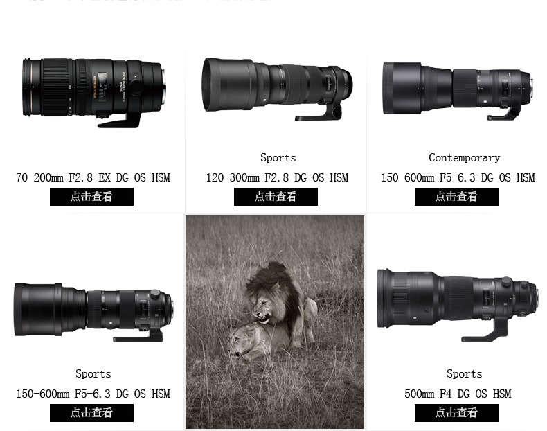 Sigma / Sigma 100-400mm F5-6.3 Hệ điều hành Chống rung máy ảnh Full-frame DSLR ống kính tele tele