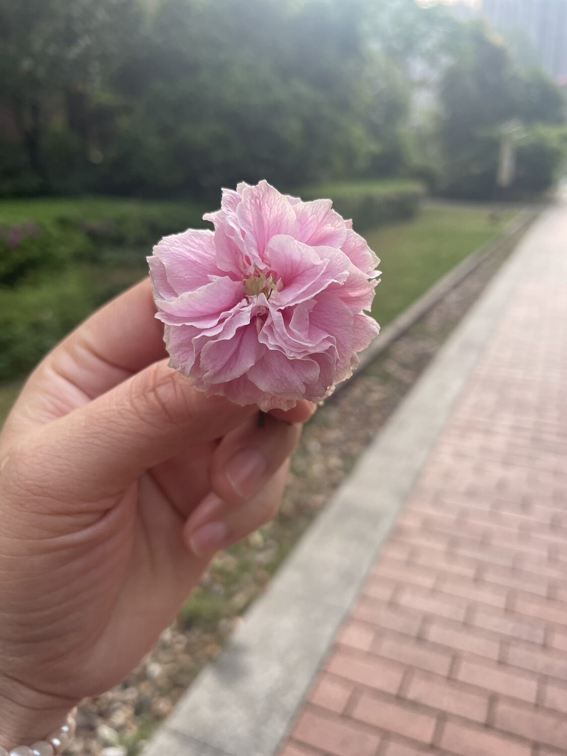 艳姐严选服饰