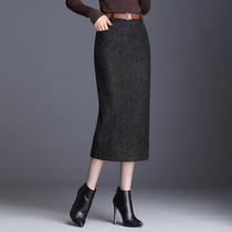 winter skirt new wool long yi bu qun female spring models of body bao qun 2021 autumn and winter Little BAO WEN dress