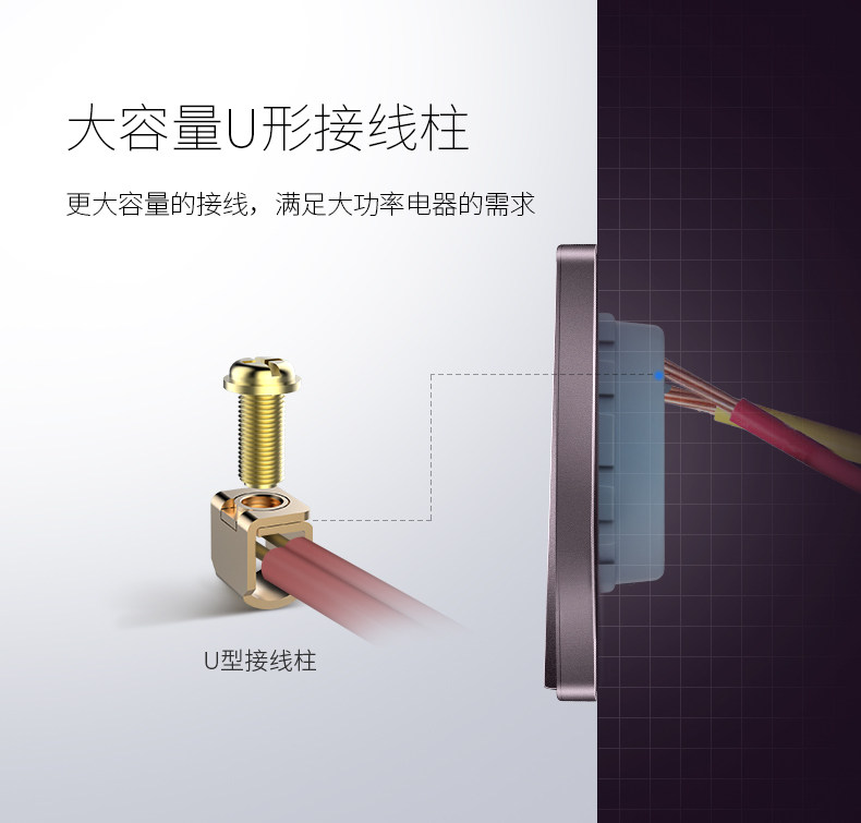 Purple-Sankai Dual Control_12.jpg