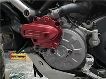 BSK Ducati water pump protection hacker 950 Monster 821 take the way MTS Big Devil